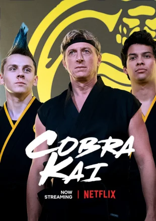 Cobra Kai (2018) Season 1 Download download in hindi